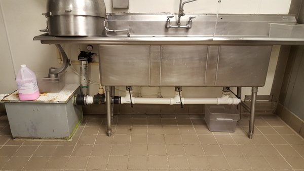 Commercial and Institutional kitchen pest management