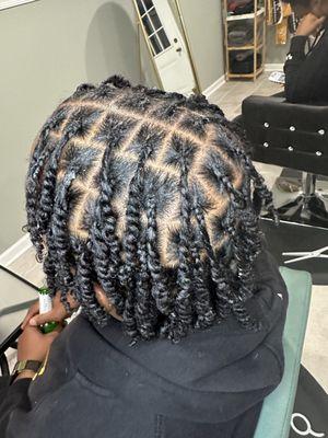 2 strand twist