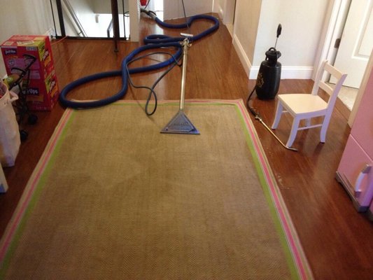 All types of area rugs cleaned