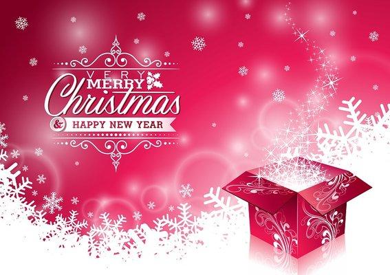 We will close on Christmas Day & New Year Day. Wish you have memorable time with your family Merry Christmas & Happy New Year!