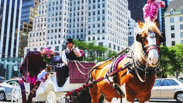 Central Park carriages