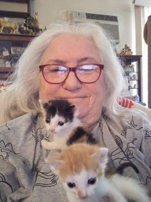 Auntie MelMel and her bottle baby kittens! Oct-2021