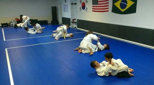 Fusion Martial Arts, Sanford FL, Taekwondo, Brazilian Jiu Jitsu, Lake Mary, Heathrow, Deltona, Longwood, FL After School