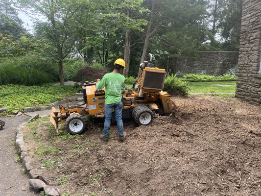 Stump grinding