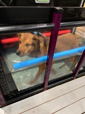 Jed in hydrotherapy