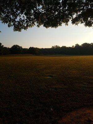 field with small rolling hills