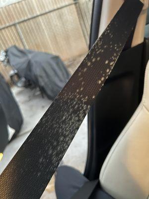 Mold left on seat belt