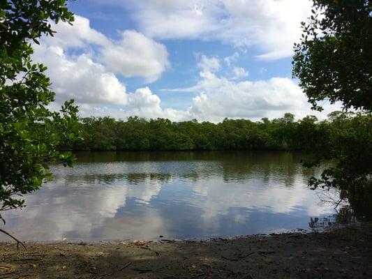 Barefoot Beach Preserve has markers so you can enjoy a mangrove maze without getting lost!  It is truly unique.  Do this!