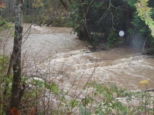 Big Beef Creek @ flood stage