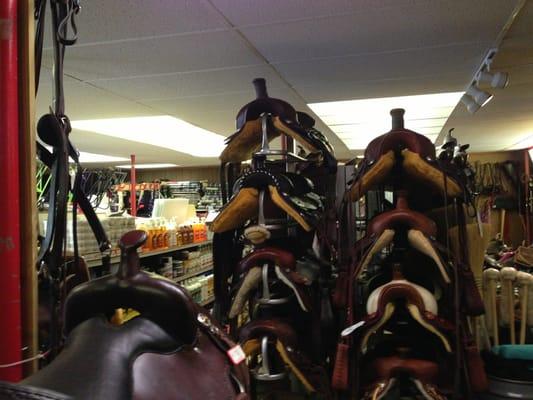 Horse tack and supplies