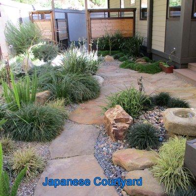 The area around the backdoor of the house became a Japanese Courtyard garden done in grasses and ferns.