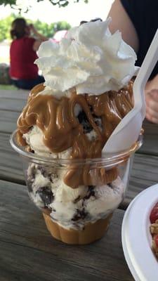 Peanut butter sundae with moose tracks.