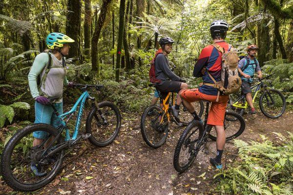 Mountain Bike Tours New Zealand