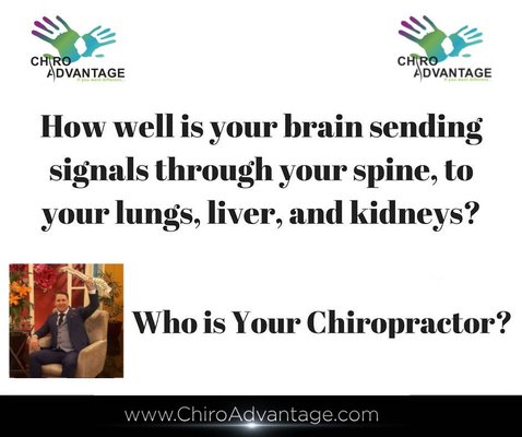 How healthy is your spine?  Who is your Chiropractor?