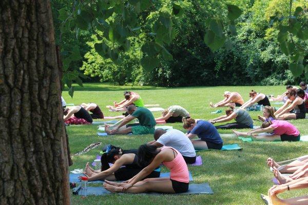 Yoga on the Lawn