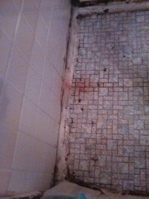 The shower where you have to stand .there are truly no words that can be emotionally expressed to communicate that a pic can't do on its own