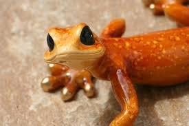 Gecko