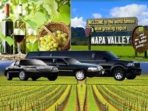 Wine Tours