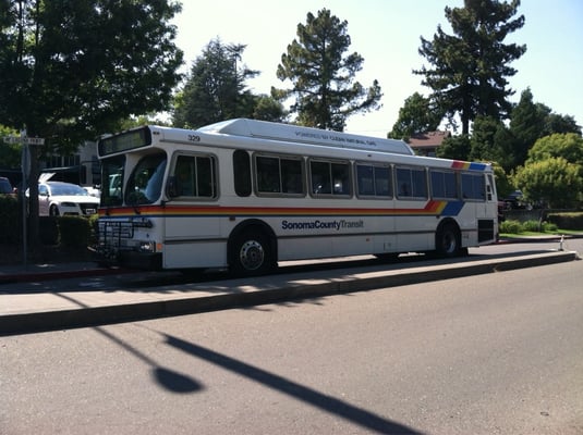 Bus in Sebastopol