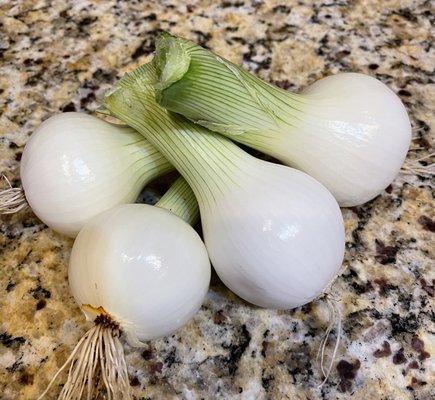 Onions