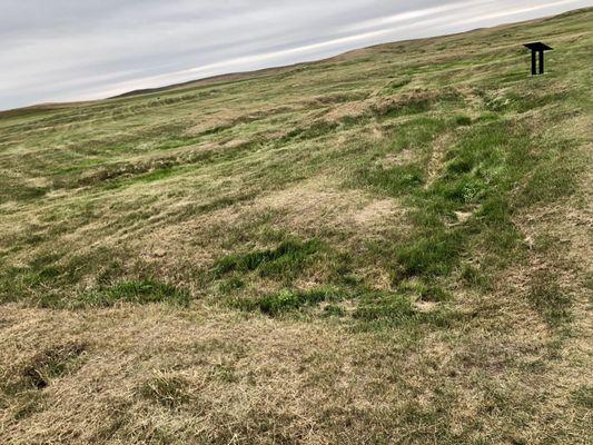 Can you see the circular mound loops?