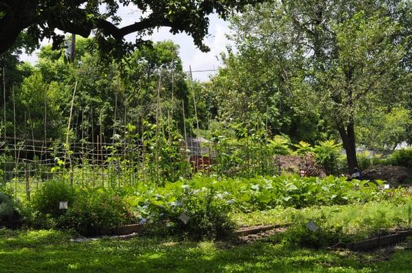 The Montrose Farm is situated on an acre of land, and is a cooperative venture with UST Environmental Science & Studies.