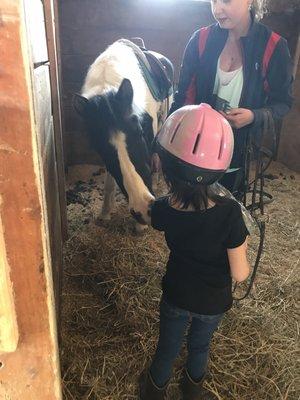 Getting to know the horses.