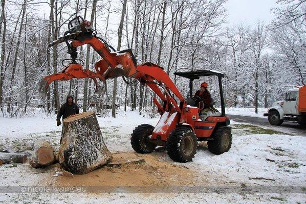 #Residential #Commercial #TreeRemoval #TreeTrimming #SafetyFirst #CertifiedArborist #CertifiedProfessionals #TreeService #Sno...