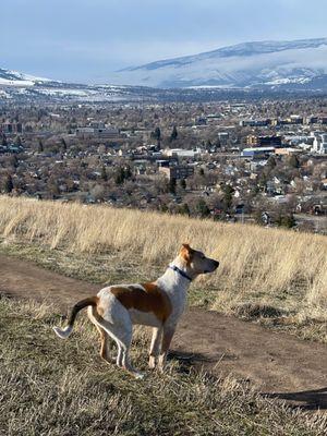 Flynn looking towards Missoula