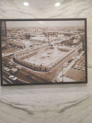 Cool pic of Old Hollywood in the lobby