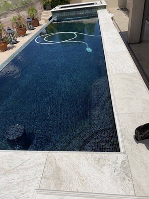 Clean pools are the best pools!