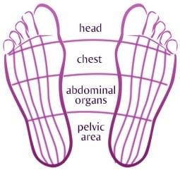 Reflexology guidelines