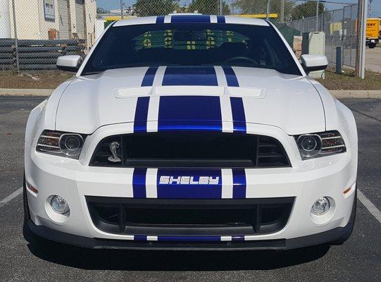 2014 Shelby GT500. what a Beautiful machine. Car has just a few  cosmetic changes to make it slightly different then the rest.