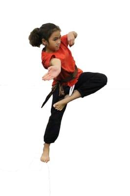 Kung Fu Club ages 7-12