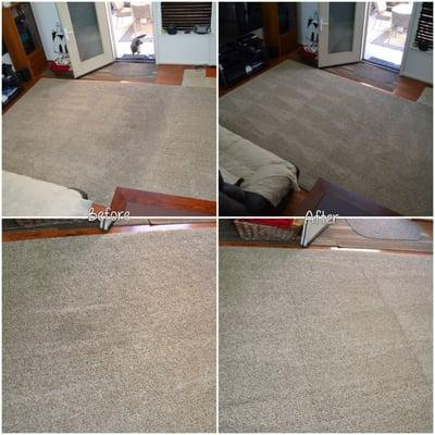 Our large area rug had lots of stains from heavy traffic and our dog friends.  Jeffrey wiped them all away!