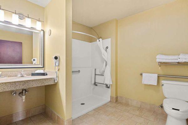 Accessible Guest Room Bath