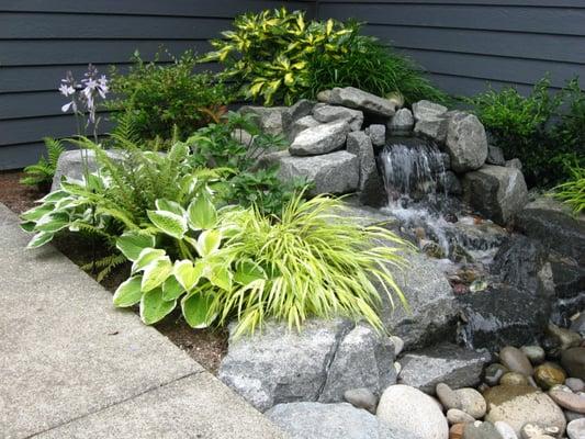 Water Feature