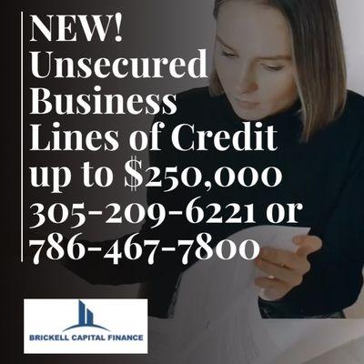 Unsecured Business Lines of Credit and Business Loans.  Eli Mualin and Nelly Palmer.