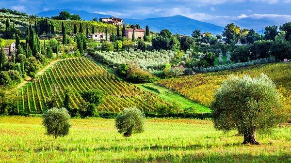 Winery in Tuscany, Italy