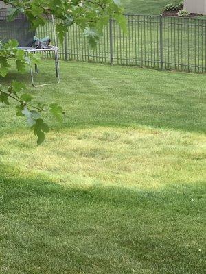 After they failed to cut the grass under the trampoline for four weeks. I had to move the trampoline and cut it myself. My grass was ruined.