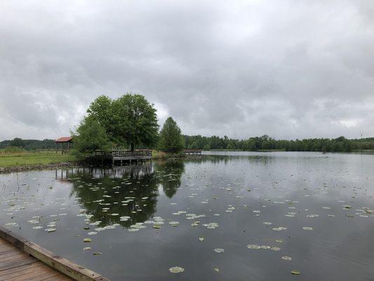 O'Neal Lake at Hatchie NWR