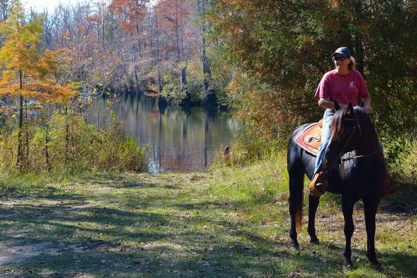 Sudie, our guide, and her majestic steed Tarzan.