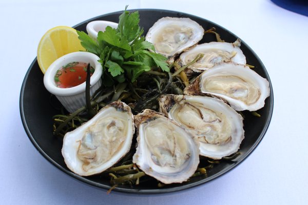 East Coast Oysters