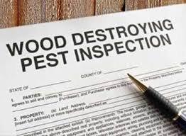 Termite/WDI Inspections