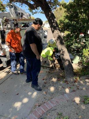 Phillip and Phillip Jr. working with SDGE pulling new service line.