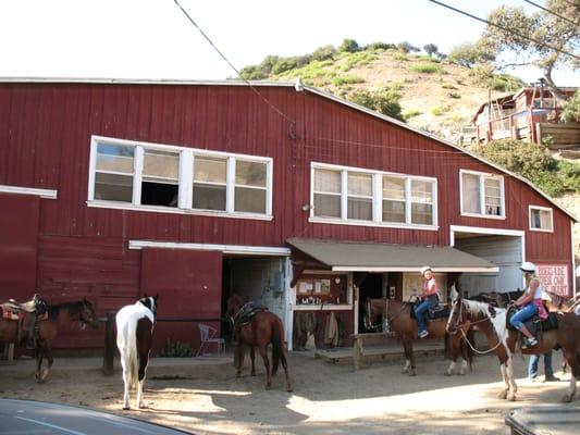 Hollywood Horse Riding, Hollywood Hills