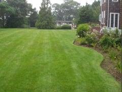 Lawn Care LCSSC