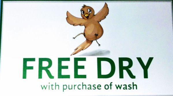 Free Dry