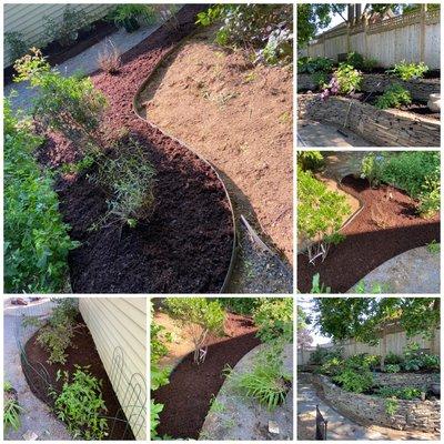 Freshened up a garden bed by pulling weeds, light trimming and laying some mulch down .