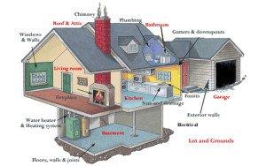 General inspection categories